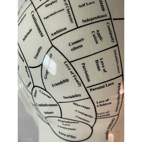 Phrenology Head Psychology L.N. Fowler, Royale Stratford Hand Made England - Picture 8 of 16